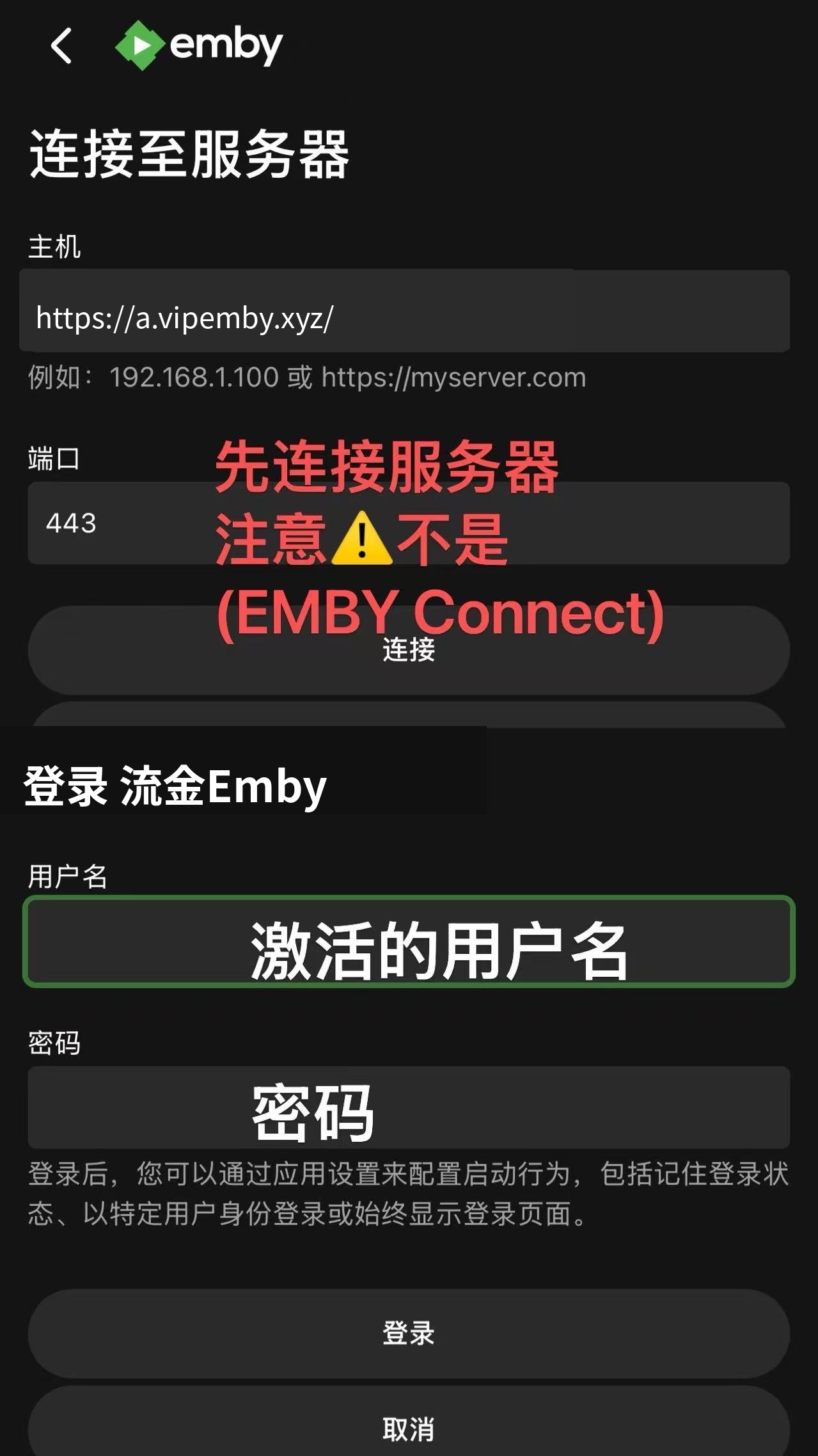 Emby 官方端配置教程