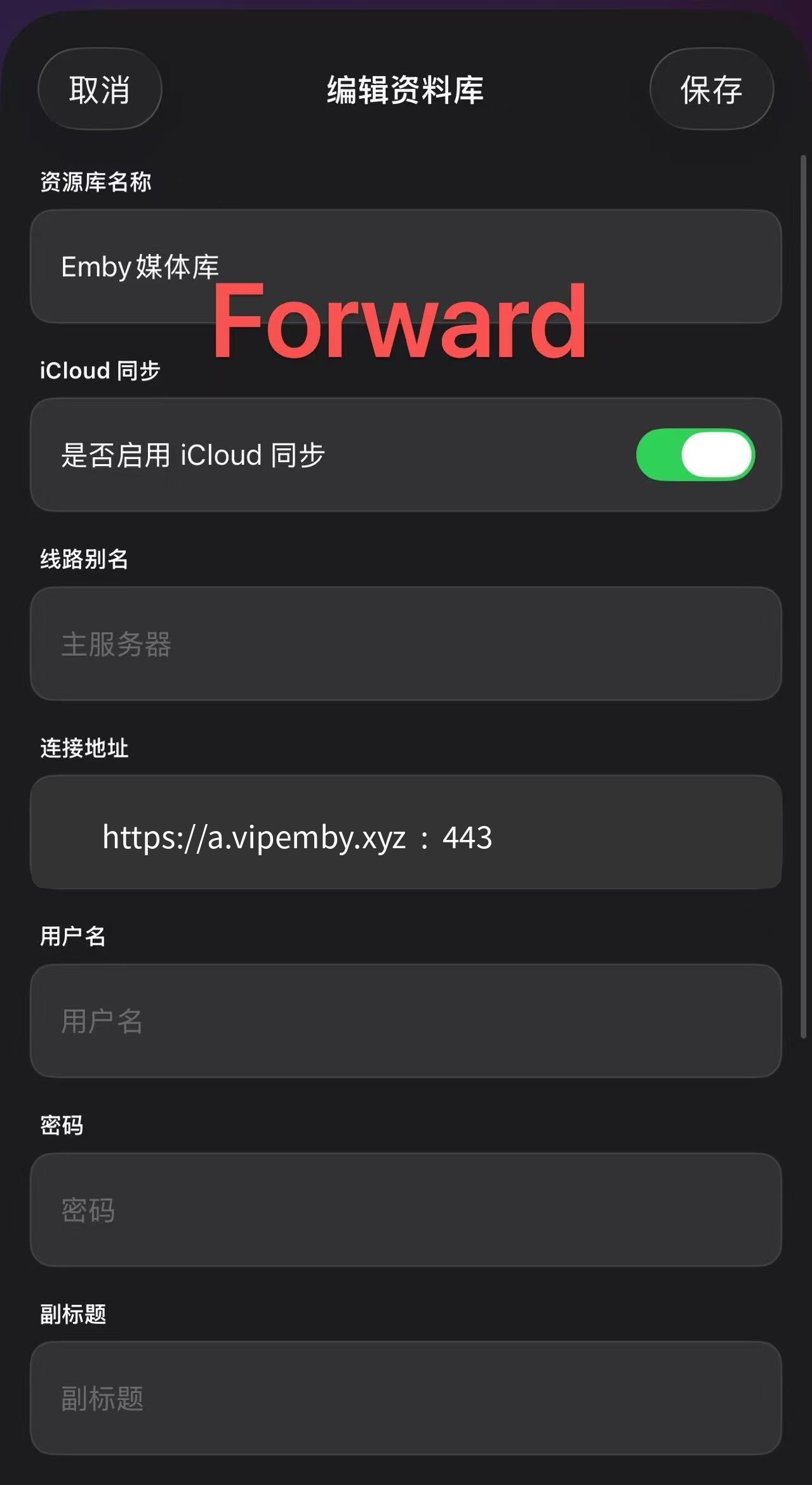 Forward 配置教程